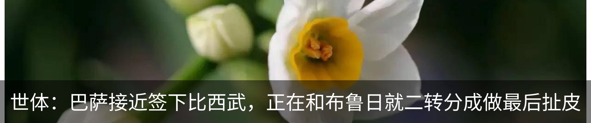 热点资讯