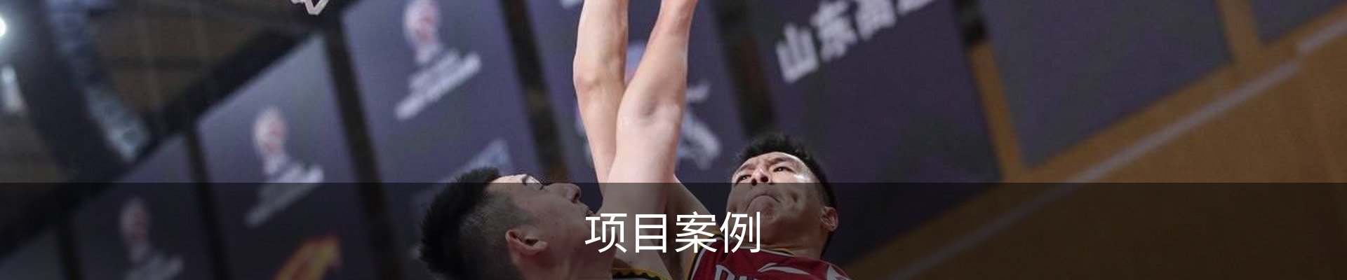项目案例